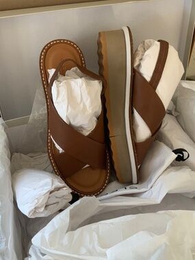 Robert Clergerie Brown Leather Platform Sandals, New In Box, Sz 40.5 (9.5)